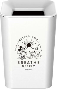 AXx t^ȂS~ ʏE 2L  N[CV MF~j p` ~bL[ tY zCg A6242