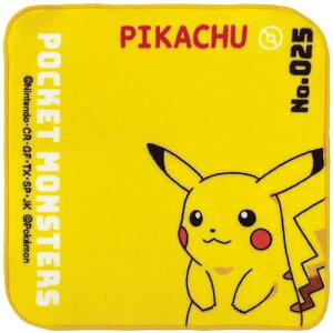 (Hayashi) ~j^I 20×20cm |P sJ`E PN481217