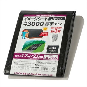  ubNV[g W[V[g #3000 1.7m×2.6m 3  Ogpڈ3N ng10 J悯 悯 ς 30L1827