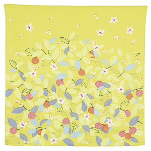 ނ ӂ낵 70 Ђ߂ނ Adeline Klam Vg X CG [ 70cm I[KjbNRbg