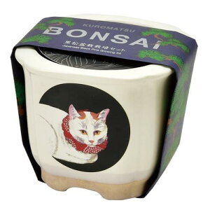 V| JAPANESE BONSAI L TCYFW8.5 D8.5 H7.5 GD-64005