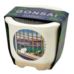 V| JAPANESE BONSAI xmƔL TCYFW8.5 D8.5 H7.5 GD-64006