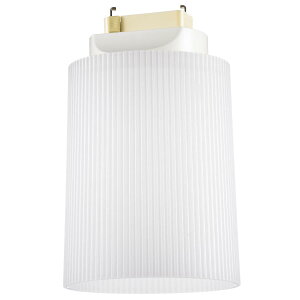 LED���^�V�[�����O���C�g �����F OHM LT-YS08-N 03-4181