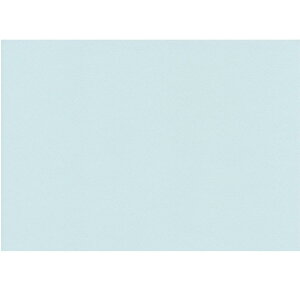 GXPg Fp X^[EF[u A4 CgWFCh 100 5007826