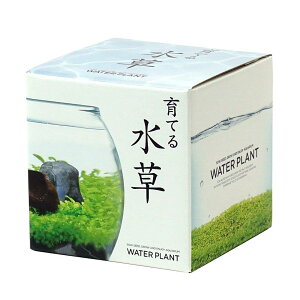 V| Ă鐅 S 12.6x12x11.6cm GD-812