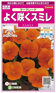 TJ^̃^l 5542 悭炭X~ }[}[hiver.2j