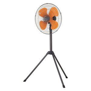 �L�d(KODEN) �H�Ɛ� �H��� �Ɩ��p��@ �O�r�^ 43.5cm �����H�� ����110~135cm ��U�� 3�i�K���� �H���ȒP��t �I�����W �u���b�N AZF431TPA