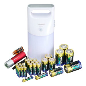 TOSHIBA() A Jdr P1` P2` P3` P4` ZT [tLED^ d ~jCg hД~ X-BO USAI SET1 yLR20AN 4MP×1Zbg/LR14AN 4MP×1Zbg/LR6AN 2KP×5Zbg/LR03AN 2KP×5Zbg