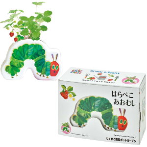 V| ʔN ƒ؉ ͔|Lbg ͂؂ނ 킭킭|bgK[f ChXgx [ ~j ȒP Ă  n[u ͔|Zbg (R/H) ̓ a