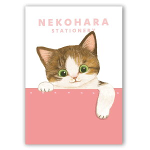 学研ステイフル ノート ねこハラ文具 B6 ピンク BD05023