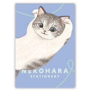 学研ステイフル ノート ねこハラ文具 B6 ブルー BD05021