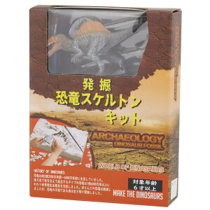 }T(Yamasan) @XPgLbg XsmTEX 505-B S13cm