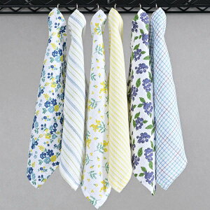 bv(Rep) ӂ 6 ԕ btf(₷w^ɂ) VR@100%(z΂) tbNt  킢 z Lb` H@ @ NX v`Mtg 559949