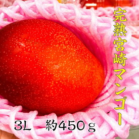 宮崎完熟マンゴー1個　大玉　3Lサイズ　　約450g　国産　贈り物　ギフト　南国　フルーツ　果物