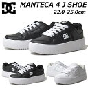 【P5倍!楽天SS期間!要エントリー】ディーシーシューズ DC SHOES DW231005 WS MANTECA 4 PLATFORM ウィメンズ 厚底スニーカー 靴
