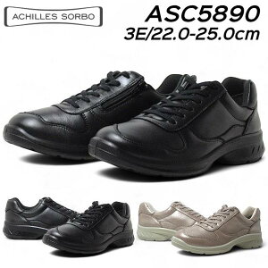 yȃN[|zz12/1܂ŁzALXE\{ C589 3E t@Xi[tXj[J[ fB[X C