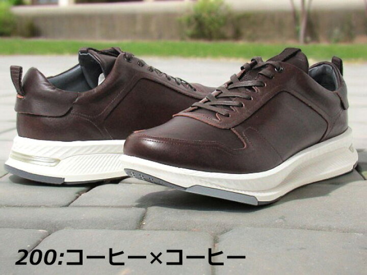楽天市場】【P5倍!楽天SS期間!要エントリー】アシックス ペダラ asics 