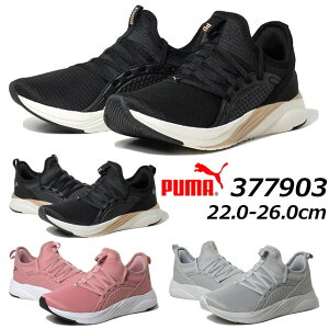 yȃN[|zz9/17܂Łzv[} PUMA 377903 SOFTRIDE \tBA 2 EBY jOV[Y fB[X C