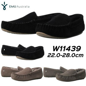 yP5{!}\!vGg[zG~ I[XgA EMU Australia W11439 Cairns JVV[Y fB[X Y C