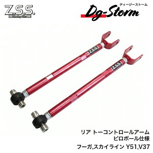 Z.S.S. DG-Storm ZSS Y51 t[K V37 XJCC  A g[R g[Rg[ A[ s