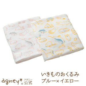 y AOj[ ẑ u[xCG[ ꖳʏiy oYj I[KjbNRbg Y oX^I Ԃ j̎q ̎q xr[ Ԃ  킢