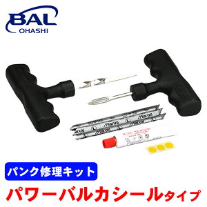 BAL pNCLbg p[oJV[^Cv I[goC ʎ `[uX^C WA^C oCAX^C 831 A1A1