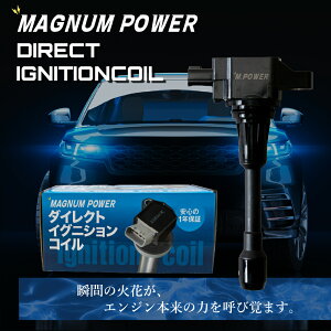MAGNUMPOWER �}�O�i���p���[ �C�O�j�b�V�����R�C�� �j�b�T�� �e�B�A�i L33 4�{ 1�䕪 �Z�b�g MG-IC-N001 �_�C���N�g�C�O�j�b�V�����R�C��