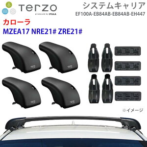 TERZO �e���b�c�H �V�X�e���L�����A �J���[�� MZEA17 NRE21# ZRE21# ��䕪 EF100A EB84AB EB84AB EH447 �t�b�g �G�A���o�[ ��t�z���_�[ E1E1