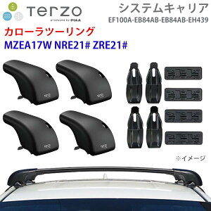 TERZO �e���b�c�H �V�X�e���L�����A �J���[���c�[�����O MZEA17W NRE21# ZRE21# ��䕪 EF100A EB84AB EB84AB EH439 �t�b�g �G�A���o�[ ��t�z���_�[ E1E1