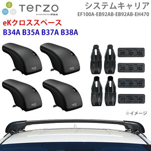 TERZO �e���b�c�H �V�X�e���L�����A eK�N���X�X�y�[�X B34A B35A B37A B38A ��䕪 EF100A EB92AB EB92AB EH470 �t�b�g �G�A���o�[ ��t�z���_�[ E1E1