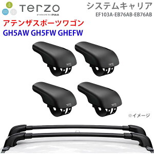 TERZO �e���b�c�H �V�X�e���L�����A �A�e���U�X�|�[�c���S�� GH5AW GH5FW GHEFW ��䕪 EF103A EB76AB EB76AB �t�b�g �G�A���o�[ E1E1