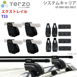 TERZO �e���b�c�H �V�X�e���L�����A �G�N�X�g���C�� T33 ��䕪 EF-DRX EB2 DR27 �t�b�g �X�N�G�A�o�[ ��t�z���_�[ E1E1