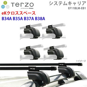 TERZO �e���b�c�H �V�X�e���L�����A eK�N���X�X�y�[�X B34A B35A B37A B38A ��䕪 EF11BLM EB1 �[ �t�b�g �X�N�G�A�o�[ E1E1