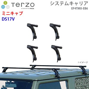 TERZO �e���b�c�H �V�X�e���L�����A �~�j�L���u DS17V ��䕪 EF4TMX EB6 �[ �t�b�g �X�N�G�A�o�[ E1E1