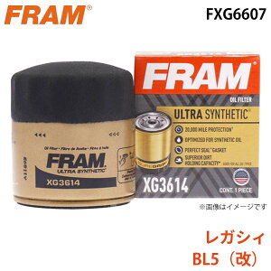 FRAM �t���� �I�C���t�B���^�[ FXG6607 ���K�V�B BL5�i���j 15208-AA100