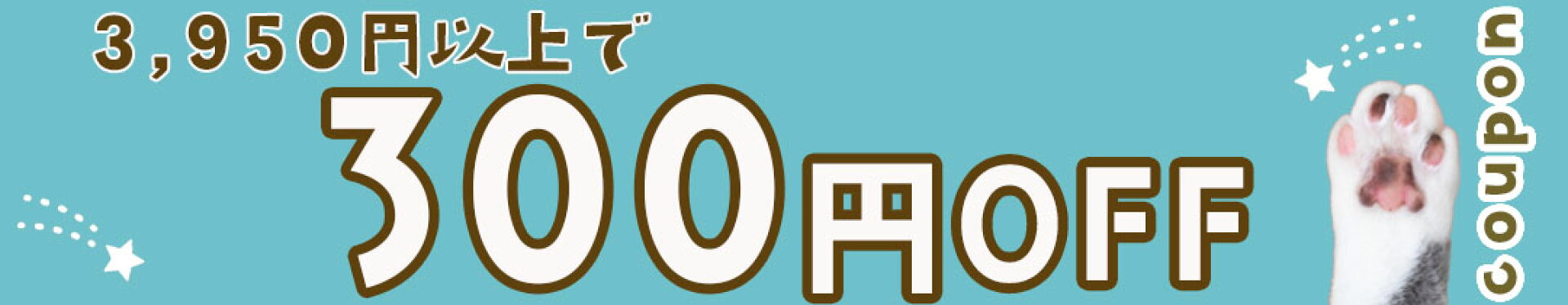 →3,950円300円OFF