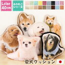 【期間限定特価】犬 クッション ペット 写真 クッション オーダーメイド クッション 愛犬 クッション Lサイズ (A3相当…