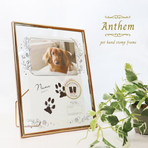 ybg ʐ^ ybg tHgt[  ybg tHgt[ L  AN ybg ʐ^ ObY ʐ^ v[g A a tHgX^h  ybg y