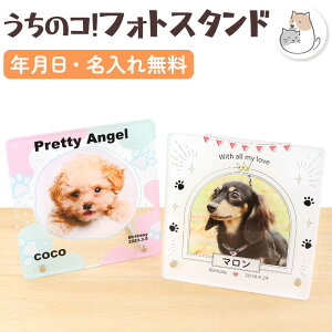 ybg ʐ^ ybg tHgt[  ybg  tHgt[ I[_[Ch  AN ybg ʐ^ IWi ObY ʐ^ v[g A a tH