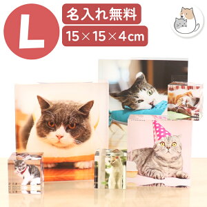 ybg ʐ^ tHgt[ ybg  tHgt[ I[_[Ch L AN L ybg ʐ^ IWi ObY ʐ^ v[g A a t[ tHgX