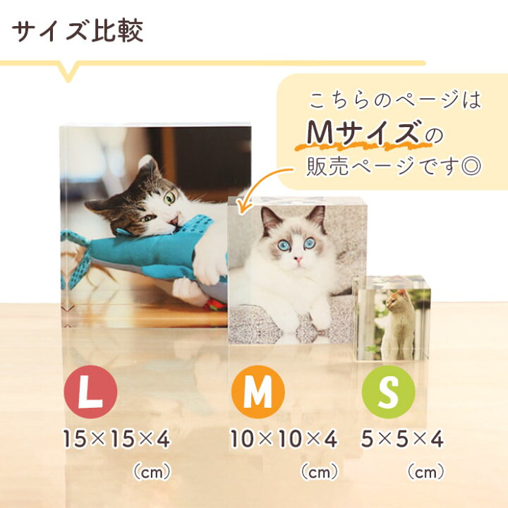 楽天市場】【期間限定特価】ねこ 雑貨 ペット 写真たて フォトフレーム 