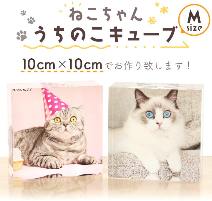楽天市場】【期間限定特価】ねこ 雑貨 ペット 写真たて フォトフレーム 