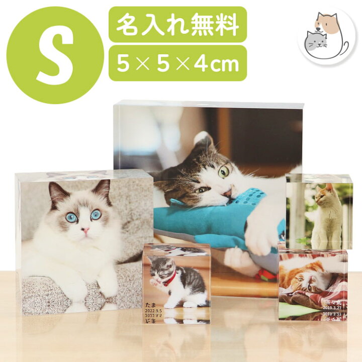 楽天市場】【期間限定特価】猫 グッズ フォトフレーム おしゃれ ペット 