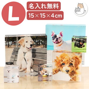 ペット 写真たて フォトフレーム おしゃれ ペット 名入れ フォトフレーム オーダーメイド 愛犬 アクリル L ペット 写真 オリジナル グッズ 犬 写真入り プレゼント メモリアル 誕生日 フレー