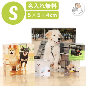 ペット 写真たて フォトフレーム おしゃれ ペット 名入れ フォトフレーム オーダーメイド 愛犬 アクリル Sサイズ ペット 写真 オリジナル グッズ 犬 写真入り プレゼント メモリアル 誕生日