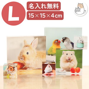 ybg ʐ^ tHgt[  ybg  tHgt[ I[_[Ch  nX^[  T  AN L ybg ʐ^ IWi ObY ʐ^ v[g 