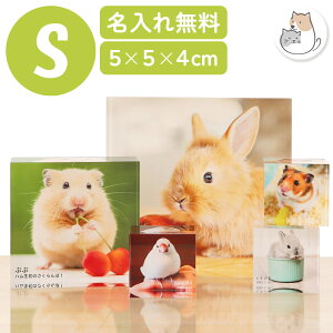 ybg ʐ^ tHgt[  ybg  tHgt[ I[_[Ch  nX^[  T  AN S ybg ʐ^ IWi ObY ʐ^ v[g 