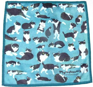 }nb^i[Y X}z@^Iuii28v@}CNt@Co[NX