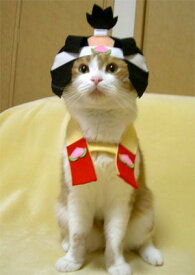 猫のお洋服「桃太郎にゃんに変身セット」キャットウェア猫服コスプレ上級者