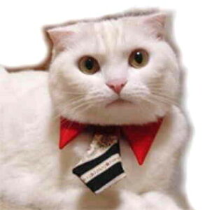 L̂muꃌbhlN^CVc(^^vLbgEFALRXv